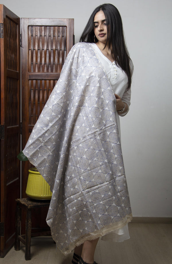 Dhoop-Chaaon collection- Off white and blue  Kantha Dupatta