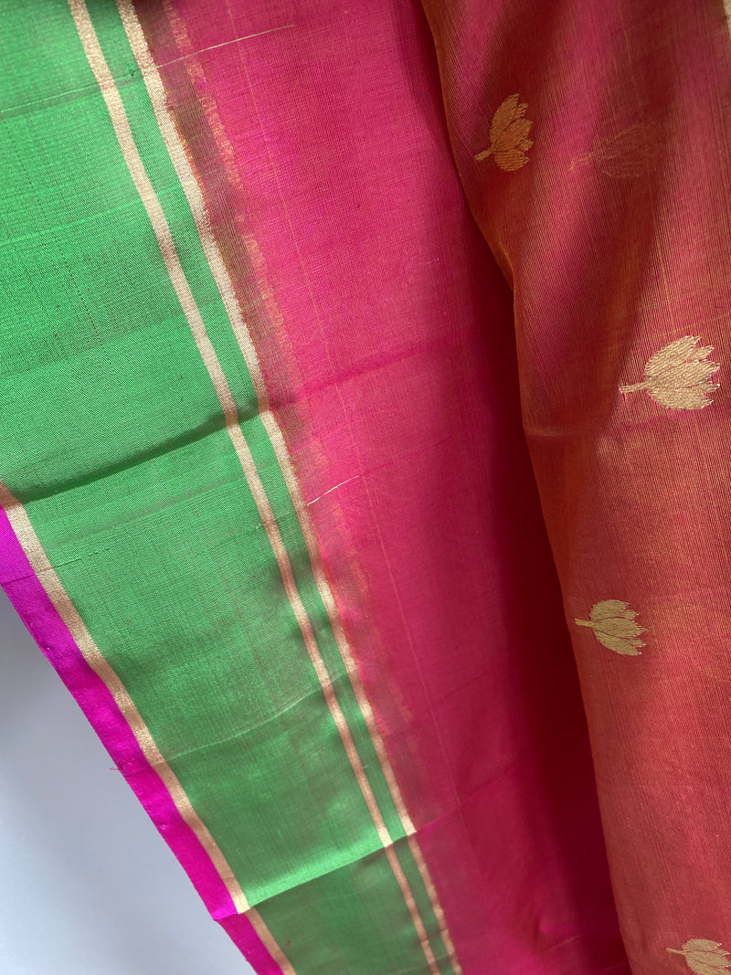 Gul-mohar collection-   Red and Rani chanderi silk saree